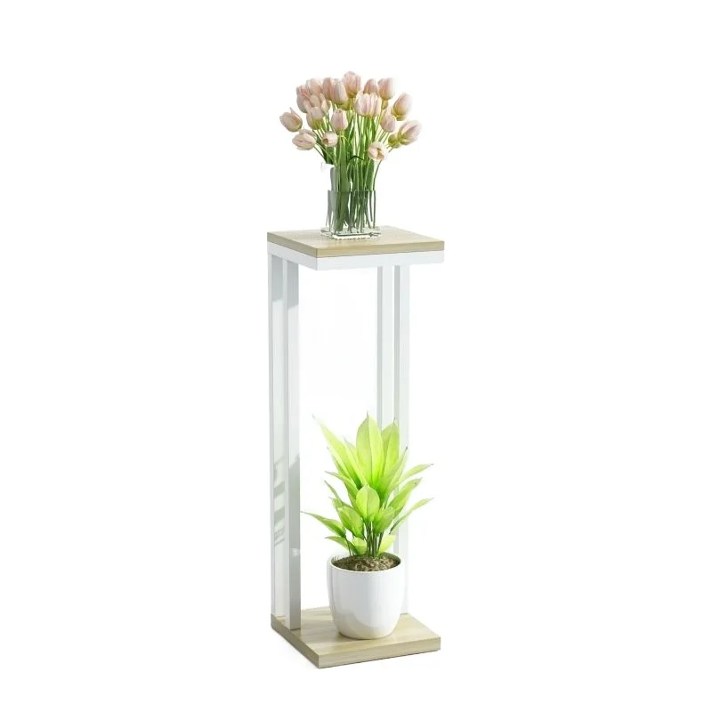 Soporte de piso de hierro para plantas, estructura de doble capa, soporte de flores, estante de tubería de acero engrosado, Simple y moderno