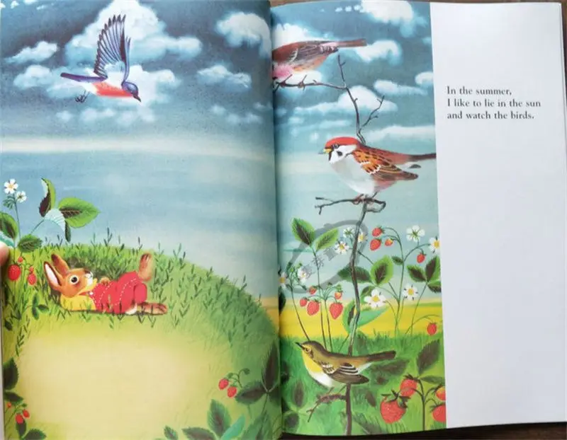I Am A Bunny - A Natural Beauty Children's Introduction To English - English Picture Book