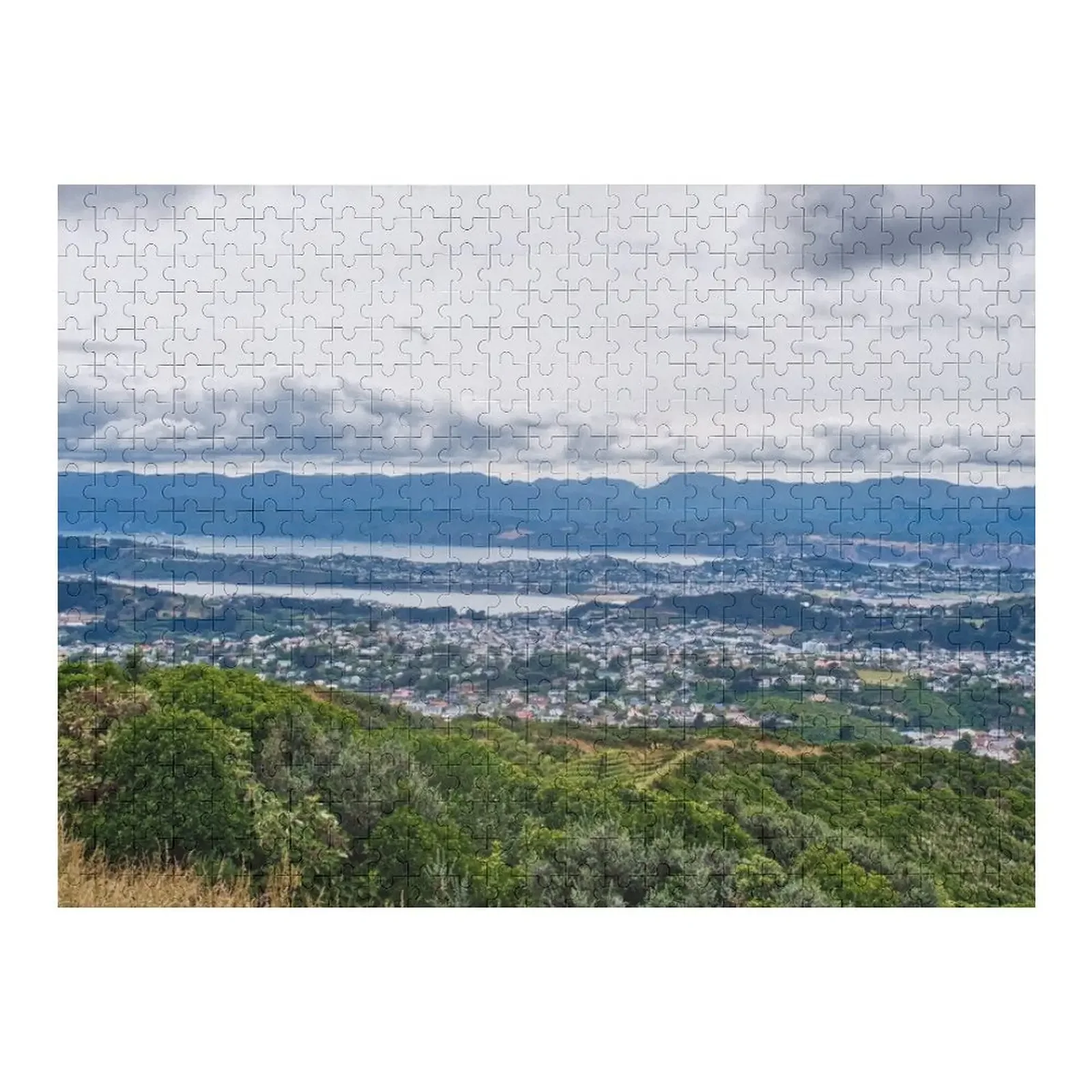 

Wellington City Landscape Jigsaw Puzzle Wooden Boxes Custom Wooden Gift Christmas Gifts For Children Puzzle