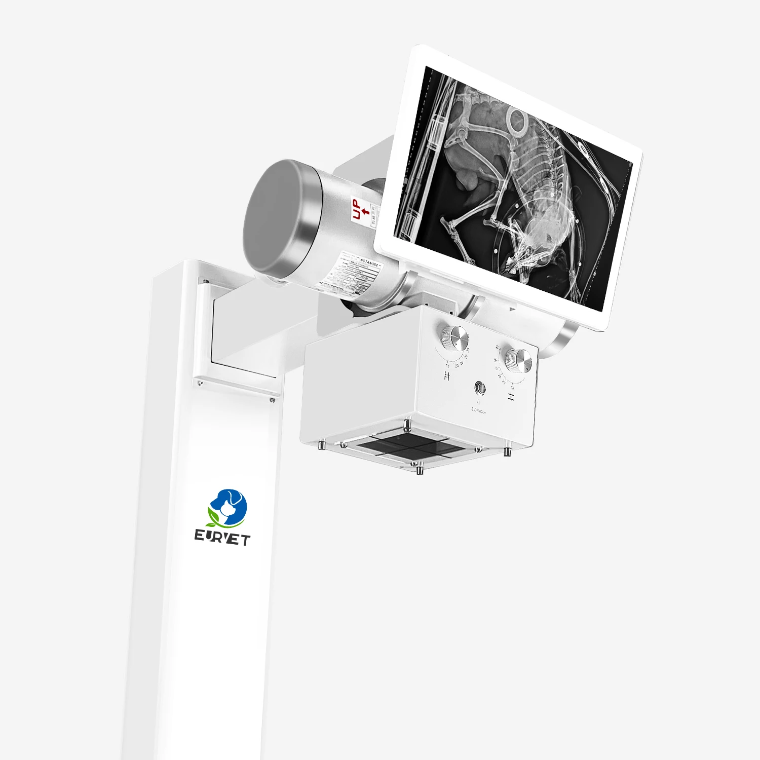 EUR VET Best Price DR Digital X-ray Flat Panel Detector Veterinary Equipment 32kw Veterinary X-ray Machine for Hospital