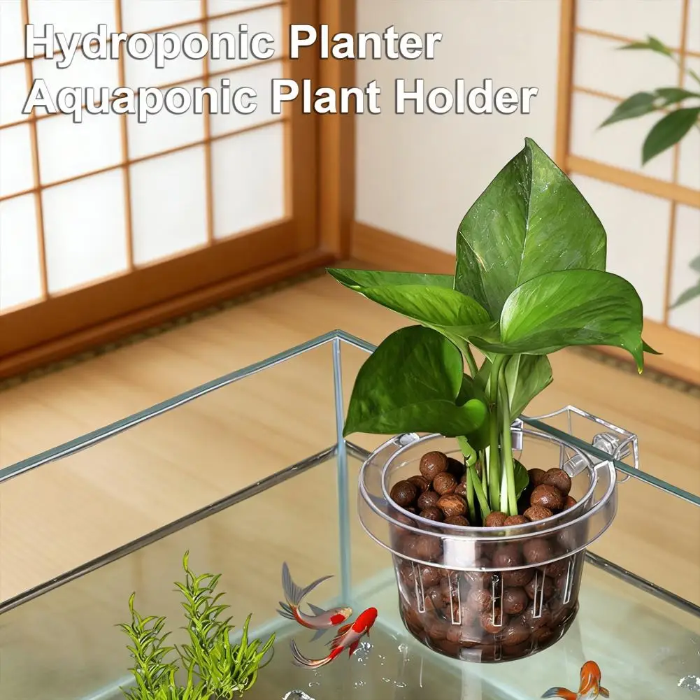 

Aquarium Plant Holder Fish Tank Clear Hydroponic Planter Aquaponic Plant Holder Basket for Fish Tank Aquascape Decoration 95%