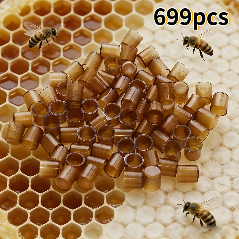 699Pcs Reusable Plastic Queen Rearing Cups Bee Breeding Queen Cell Cups Beekeeping Incubation Tools For Beekeeper Hive Frame Man
