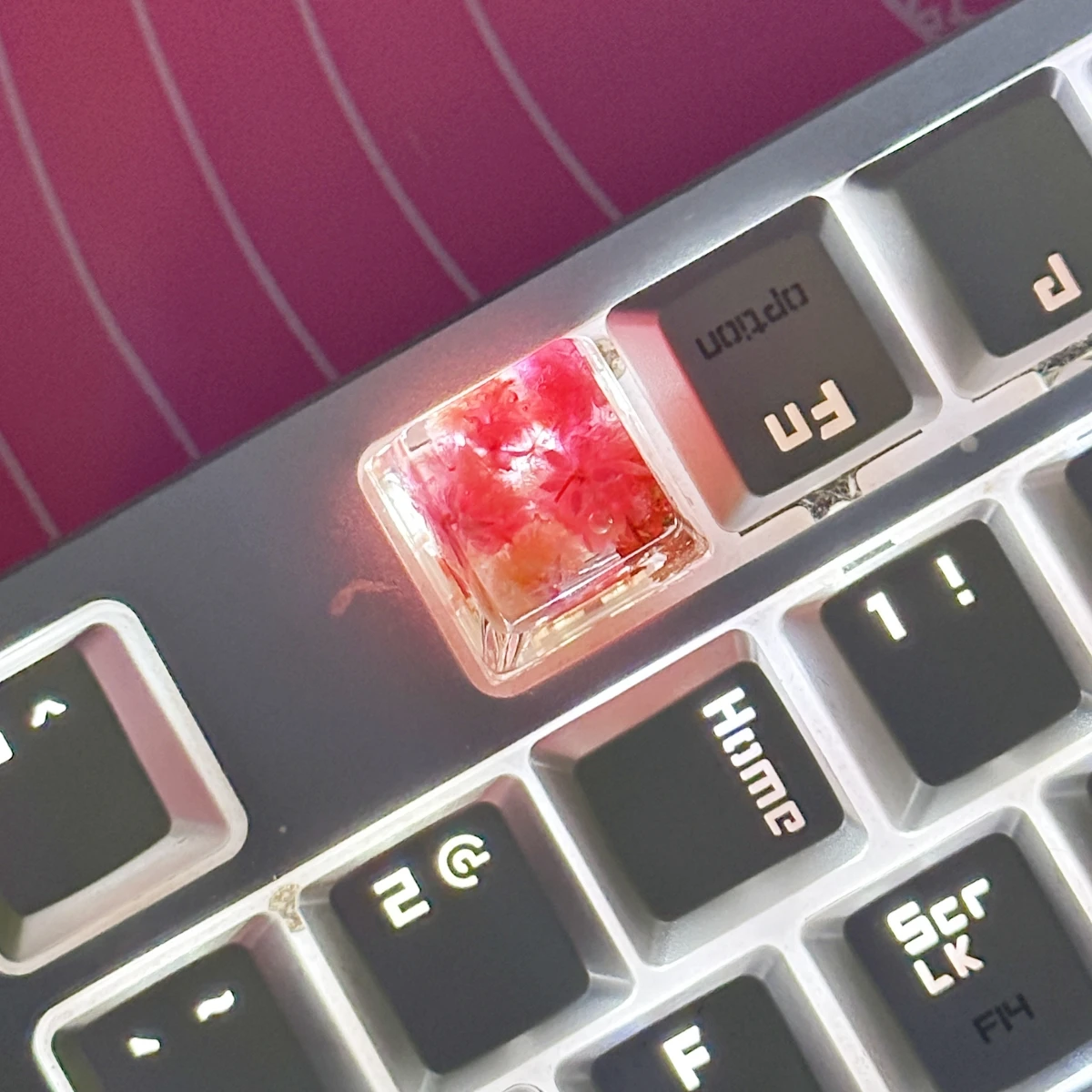 Kk-cokio diy tropfen kleber hoch transparente blume schlüssel kappe echte blume getrocknete blume voller stern mechanische tastatur schlüssel kappe 1 stücke