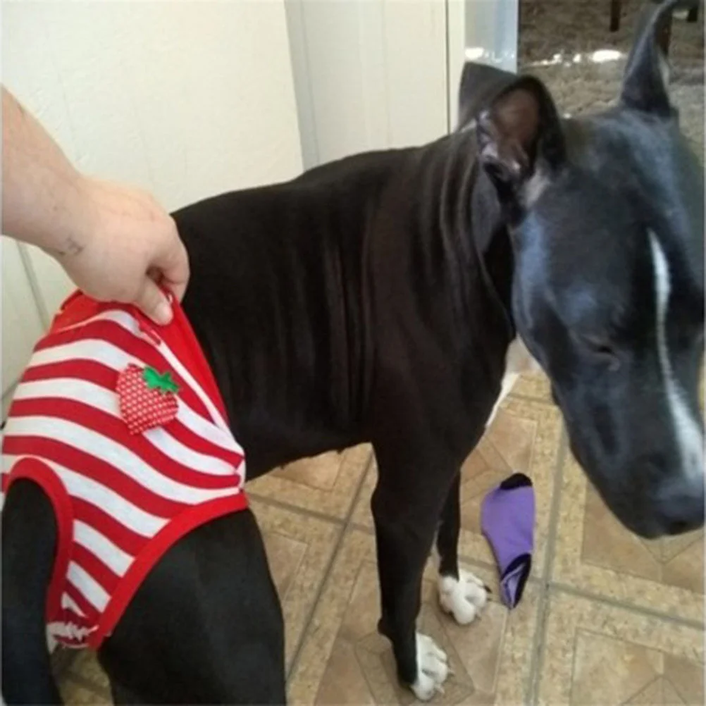 

Pet Diaper Male Dog Physiological Pants Stripe Menstruation Shorts Size Xl Red White Washable Puppy Diapers Comfortable