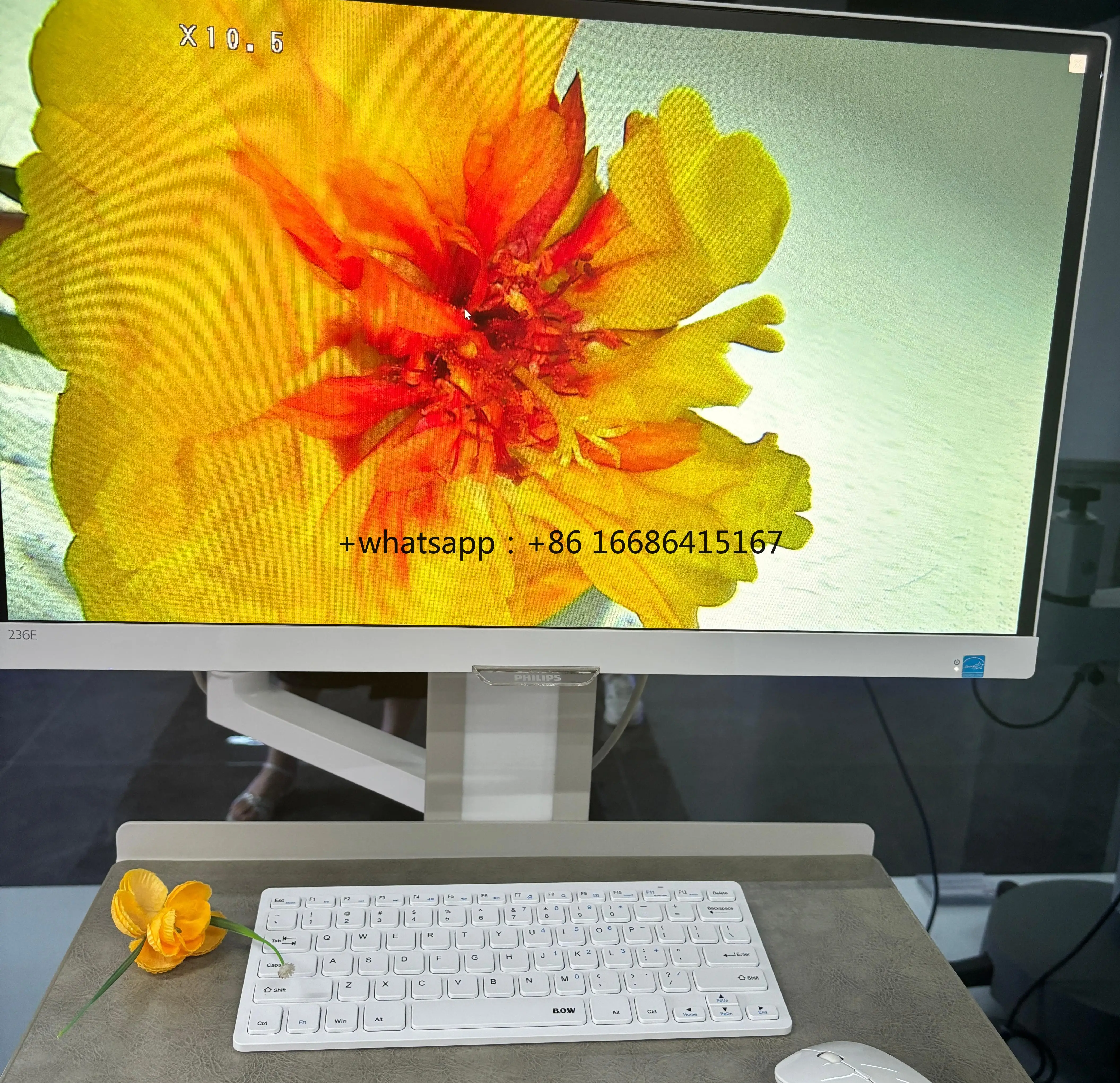 Kernel KN-2200IH Full HD Dual-Screen Digital Video 3.27 MP 4 Levels Green Filters or Cervical Examinations