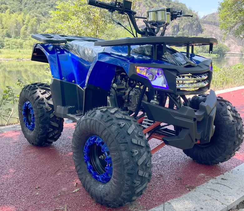 Factory Wholesale 125cc ATV 4Stroke 1Cylinder by Electrical Starter for Teenagers and Adults with CE Certification
