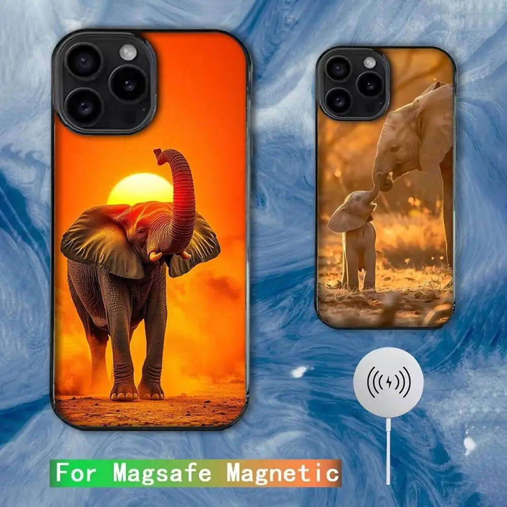 

Animal Elephant cute Phone Case For iPhone 16e,16,15,14,13,12,11,Plus,Pro,Max,Mini Magsafe Magnetic Wireless Charging