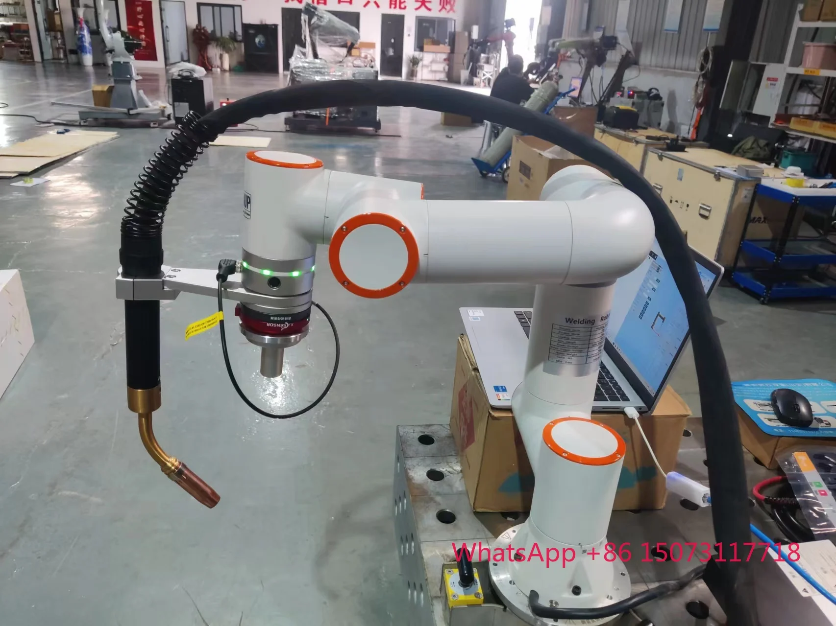 Braccio robotico collaborativo a 6 assi Braccio robotico 5 kg Carico utile 922 mm Cobot