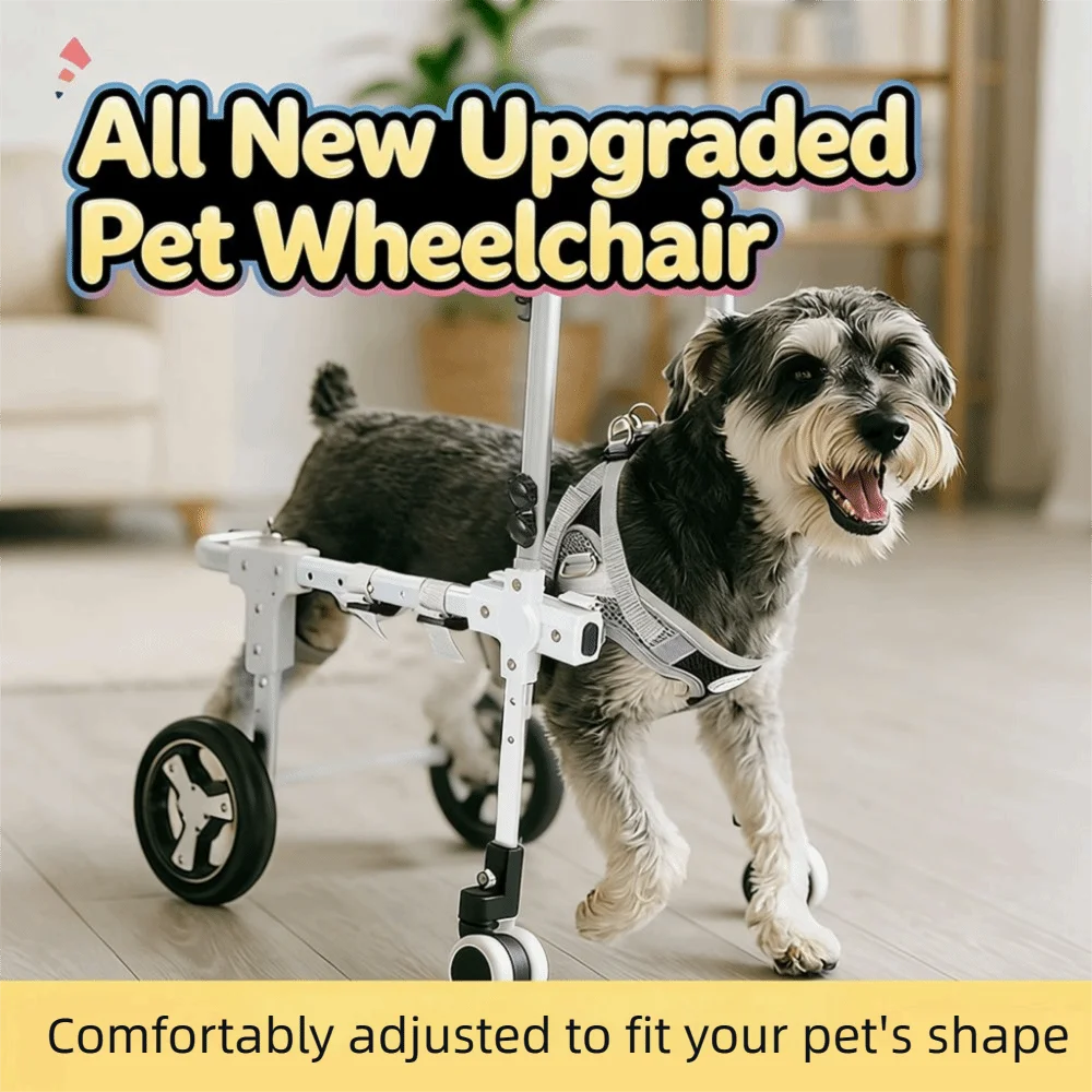 Thumbnail 3 - #12 Latest Pet Agility Equipment Offers