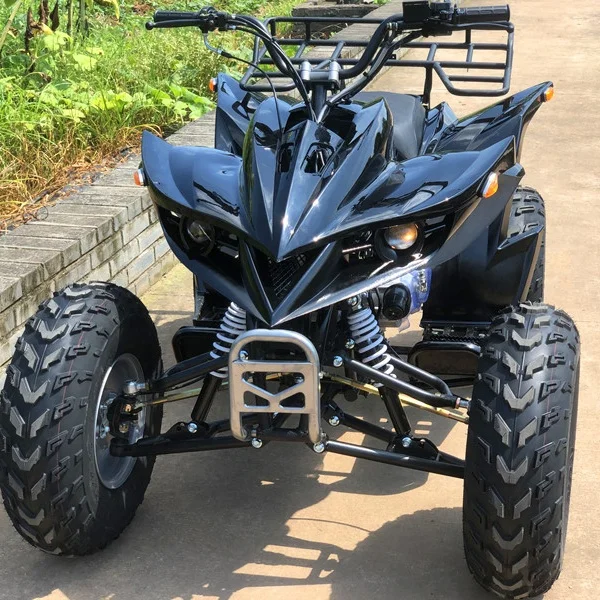 Gas Powered 200cc Automatic Chain Drive Quad Bike ATV for Adults with CE Certification