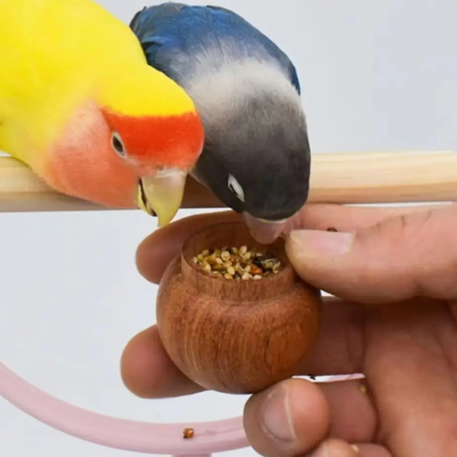L12 Anti Bite Natural Wood Small Bird Food Bowl Handheld Lightweight Design for Budgie Lovebird Cockatiel Conure Small Pet Birds