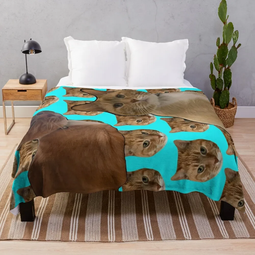

Field of Ginger Cats Named Steve Throw Blanket Long Lasting Soft Plush Blanket for Daily Use