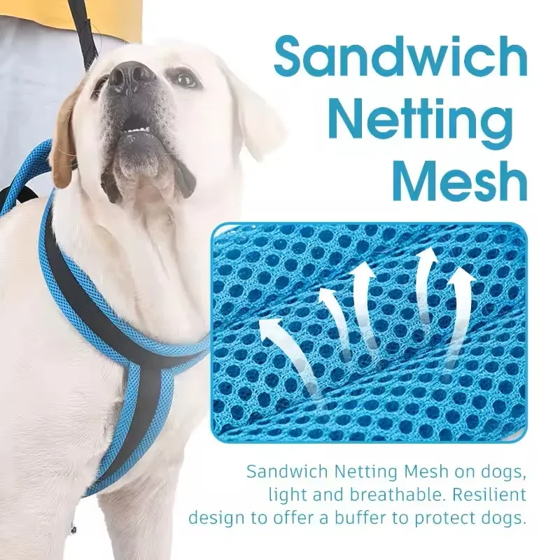 Portable Dog Auxiliary Belt Breathable Pet Lift Harness Sling Support Repair Function For Disabled Dogs Help Rehabilitation view 2