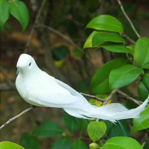 6 Hauptverkaufstigeon Weiß - №4