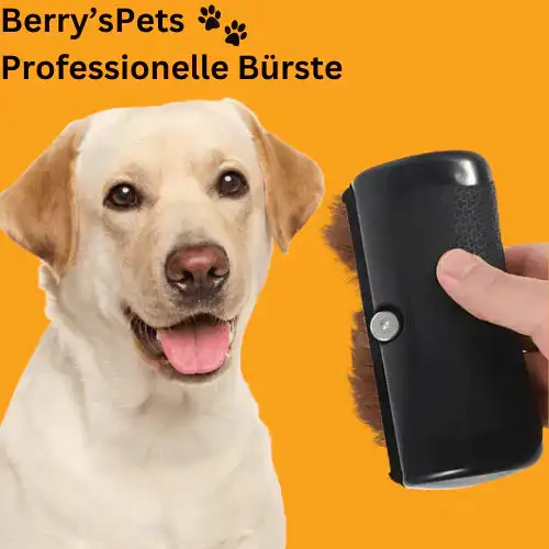 Thumbnail 4 - #13 Ranked Puppy Grooming Brushes Picks in 2026