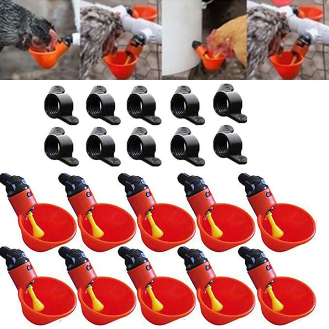 

Accessories Chicken Drinking Bowl Poultry Drinker Chicken Container Crickets Drinking Cup Farm Holder Parrots Pet