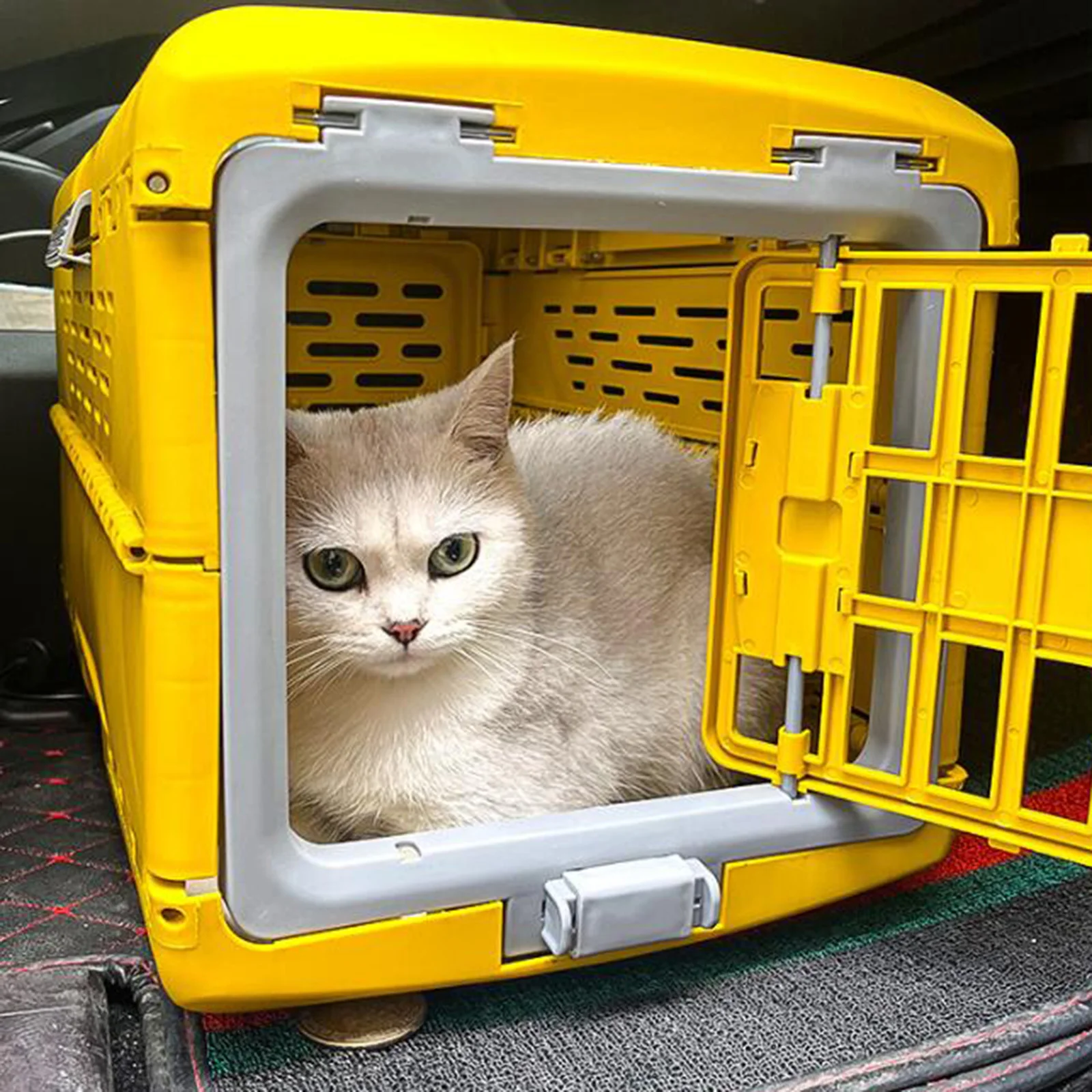 Collapsible Puppy Crate Breathable Foldable Cat Transport Box Travel Cage Pet Carrier for Rabbit Kitten Small Dogs Cat Puppy