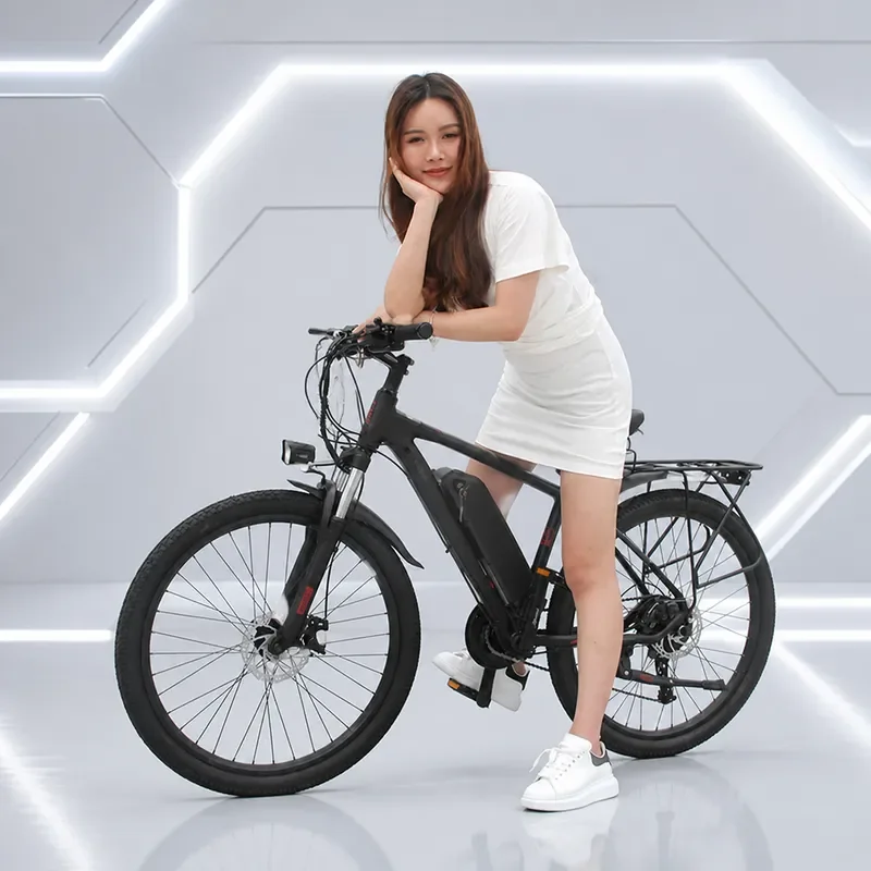 26 Inch Aluminum Alloy Mountain Bike 36V Long Battery Life Electric Bicycle