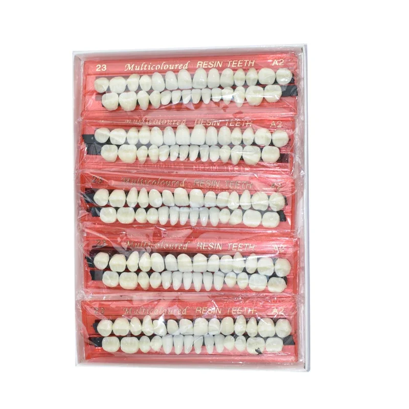 

28 Teeth Dental Resin Denture Shade Guide 3D Color Comparator with Mirror and Bleaching Tray Kit