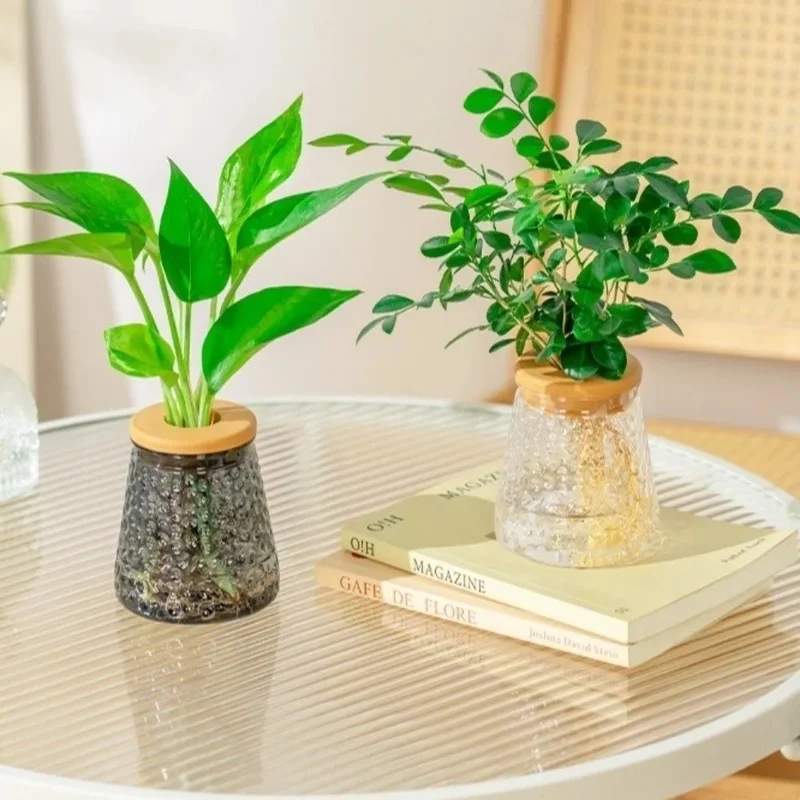 Tapered Plastic Hydroponic Plant Vase, Textured Clear Propagation Jar with Round Hole Lid, Desktop Planter for Cuttings