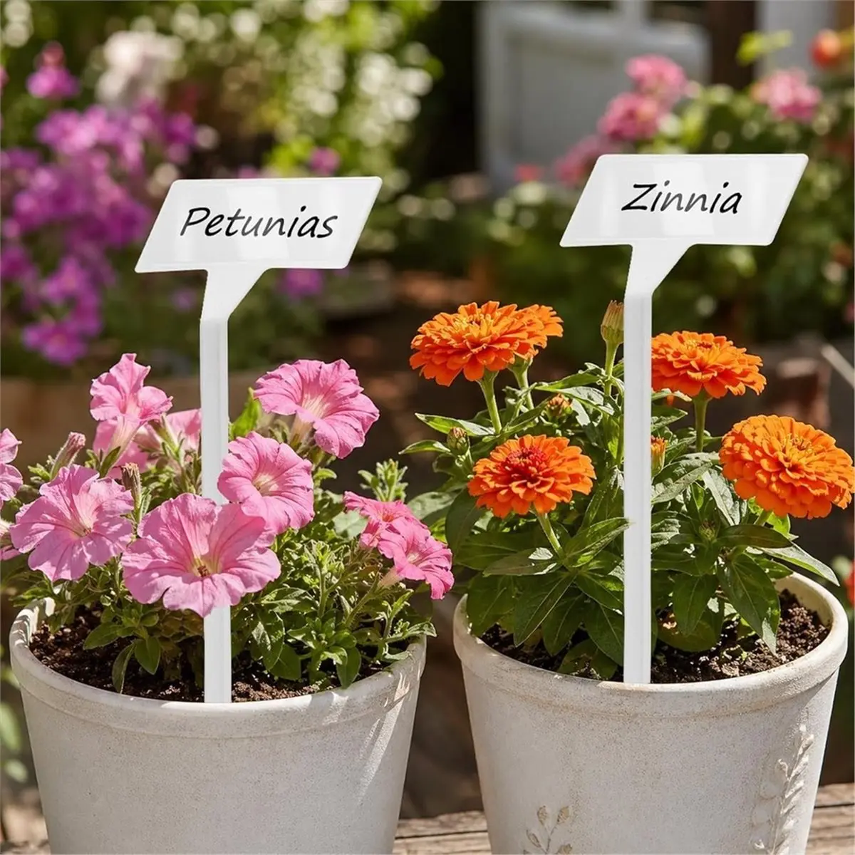 A2001K Plant Labels 30 Pack 11.8 Inch Large Garden Labels Waterproof Garden Markers Signs Plant Name Tags for Outdoor Indoor SUM