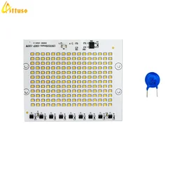 Lampada a Led 10W 20W 30W 50W 100W Smart IC proiettore COB Chip SMD 2835 Outdoor Long Service Time illuminazione fai da te In ca 220V 230V 240V