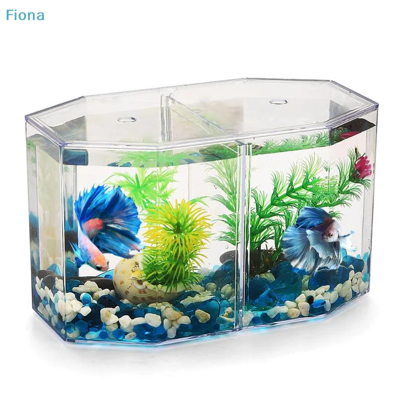 ✔ Doppelkammer-Kampffischbox Eco Rumble Fischaquarium Kunststoff-Isolationsbox Zuchtbox