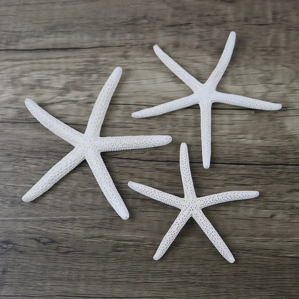 

20Pcs Sea Star Ornaments Natural Material Decorative Wall Hanging for Home Office Hotel Coffee Shop Aquarium Natural Sea Stars