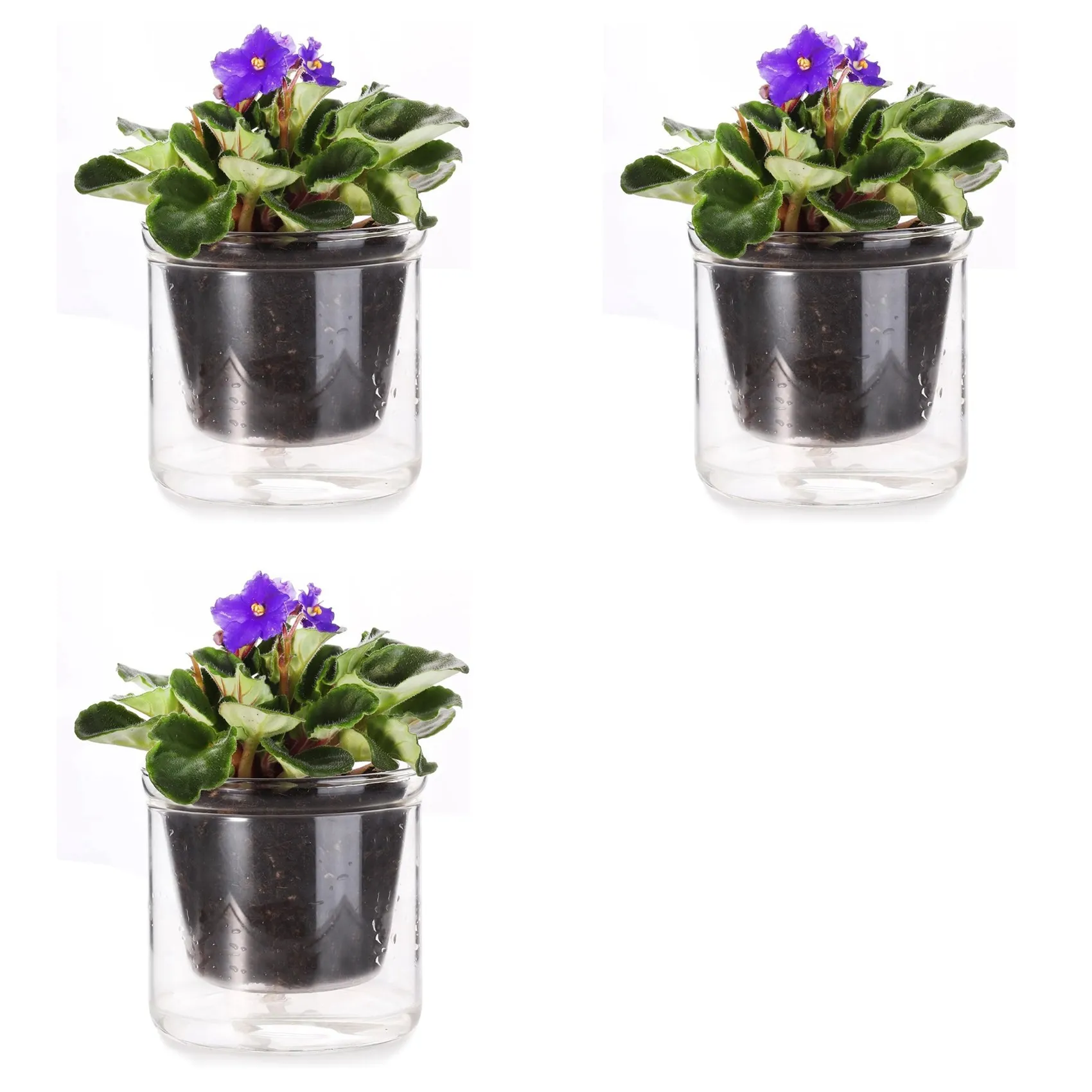 ABBP-3Pcs 4 Inch Self Watering Pot,African Violet Pot,Bottom Watering Glass Planter For Indoor Plants And Progagation
