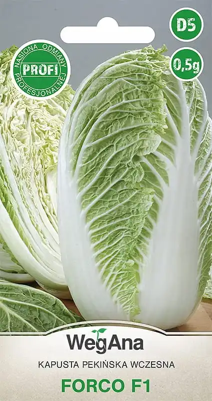 Chinese cabbage Forco F1 0.5g VegAna vegetable cabbage seeds