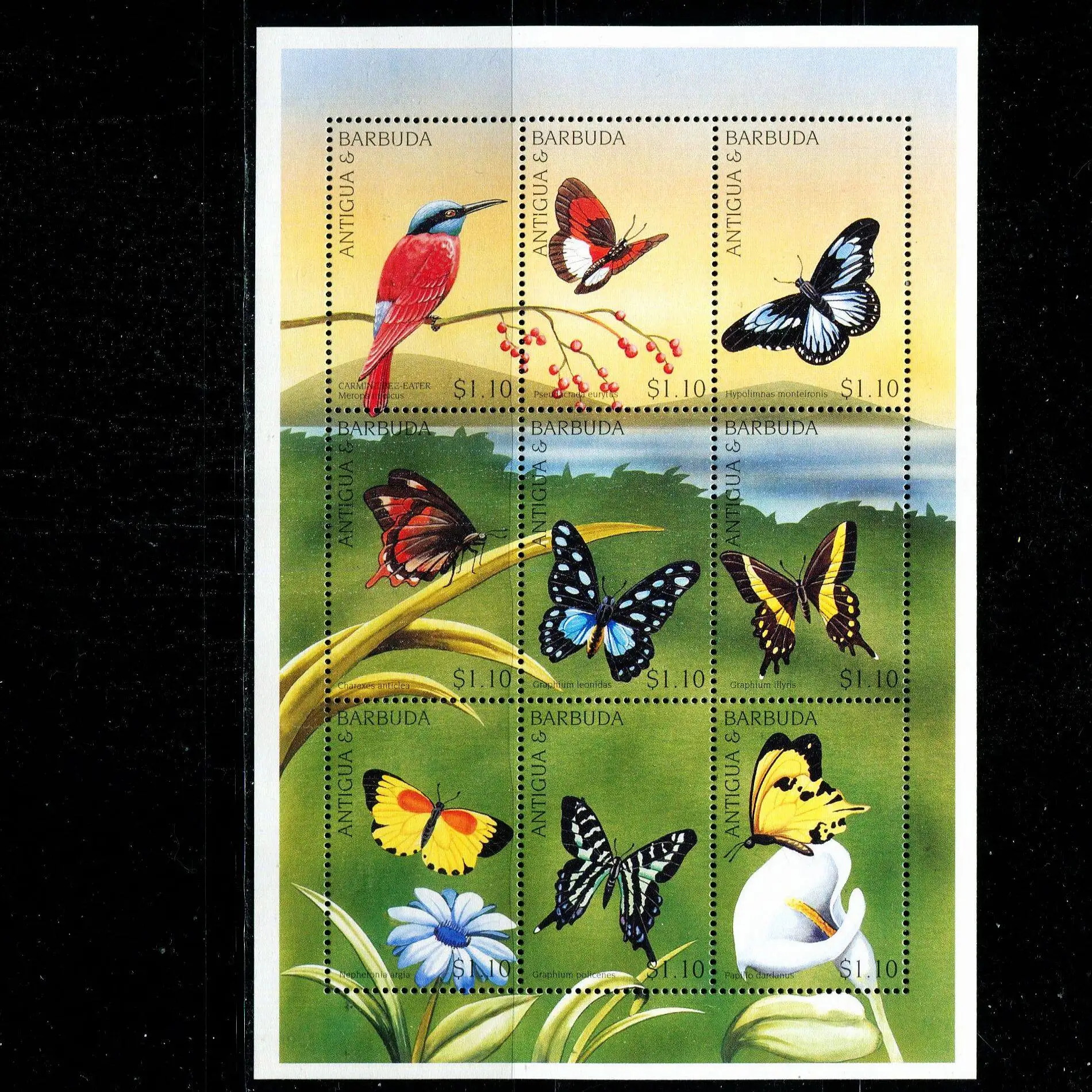 Antigua And Barbuda Post Y1997 Variety Of Birds Butterfly 1 Sheet 9 New MNH Collectible Postage Stamps Material For Scrapbooking