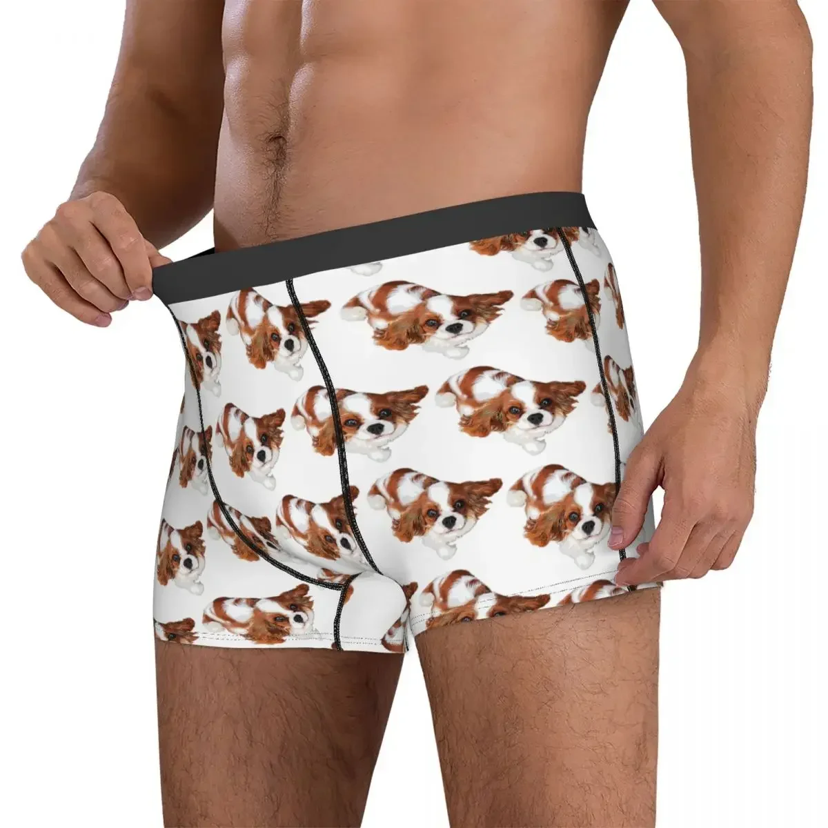 Boxer Underpants Shorts Cavalier King Charles Spaniel Looking Up Panties Male Breathable Underwear for Homme Man Boyfriend Gifts