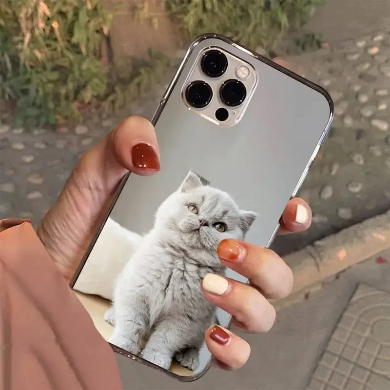 Custodia per telefono British Shorthair Cat per Iphone 7 8 Plus X Xr Xs 11 12 13 15 Mini Mobile Iphones 14 Pro Max Custodia