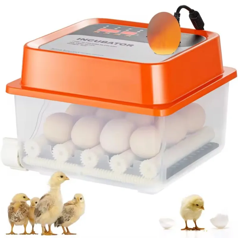 

12 Egg Incubator Manual Temperature Humidity Control ABS Transparent Shell Small-Sized Poultry Hatcher Hatching Chicken Eggs
