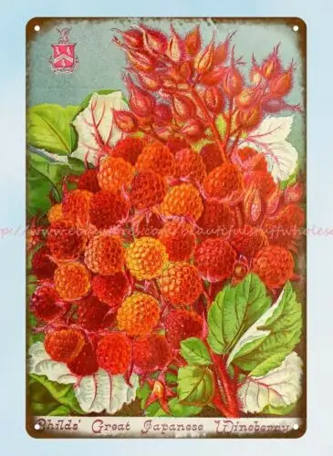 dorm wall art Great Japanese Wineberry John Lewis Childs 1892 metal tin sign