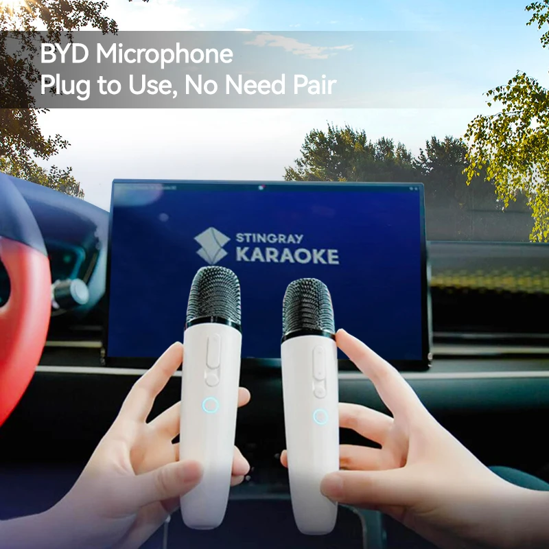 BYD Official factory Car Microphone With Receiver, For Huawei Vision, Xiaomi TV also, Original sale.