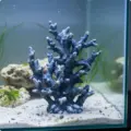 Blue L