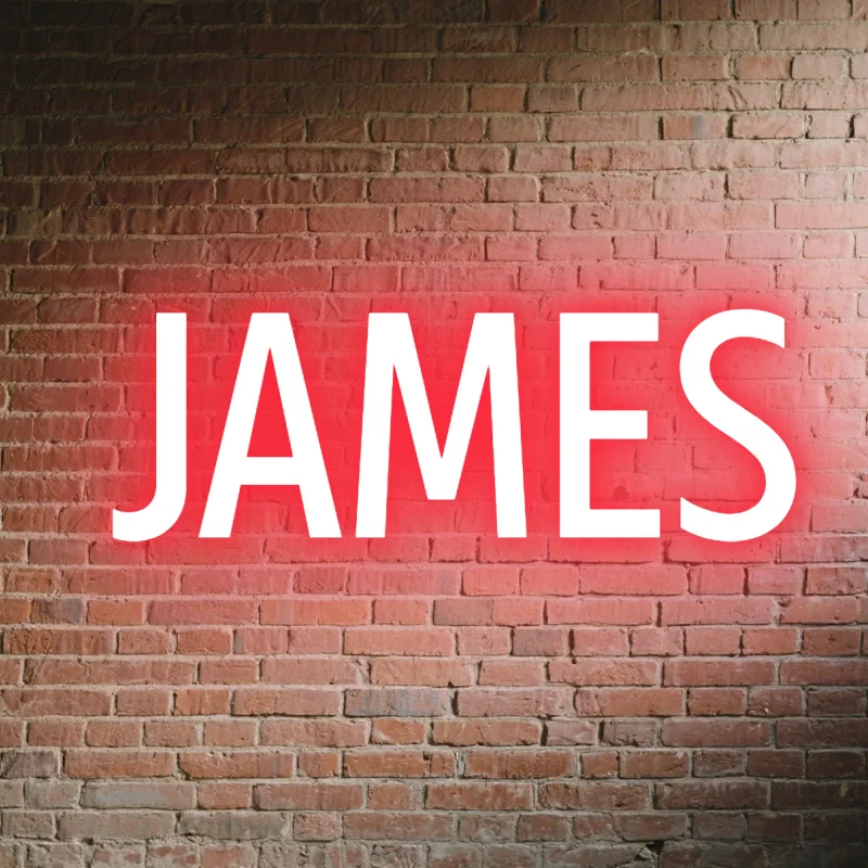 Custom LED Neon Signs Vibrant Personalized Wall Decor for Home Wedding Birthday Party Gift DIY Unique Design Easy Install
