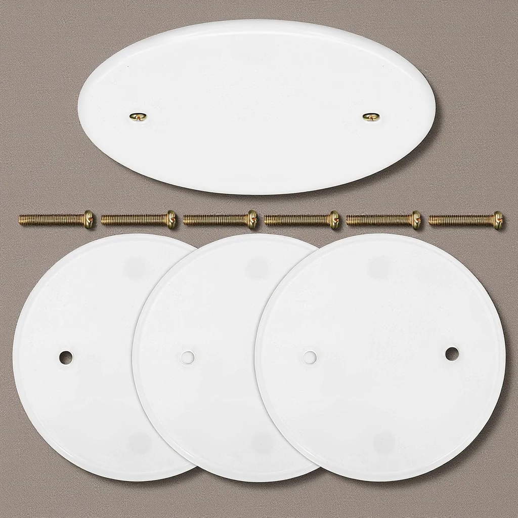 

4Pcs Round Cover Plate Ceiling Hole Covers Flat Blank Up Plates for Electrical Box Easy Installation Seamless Design Plastic