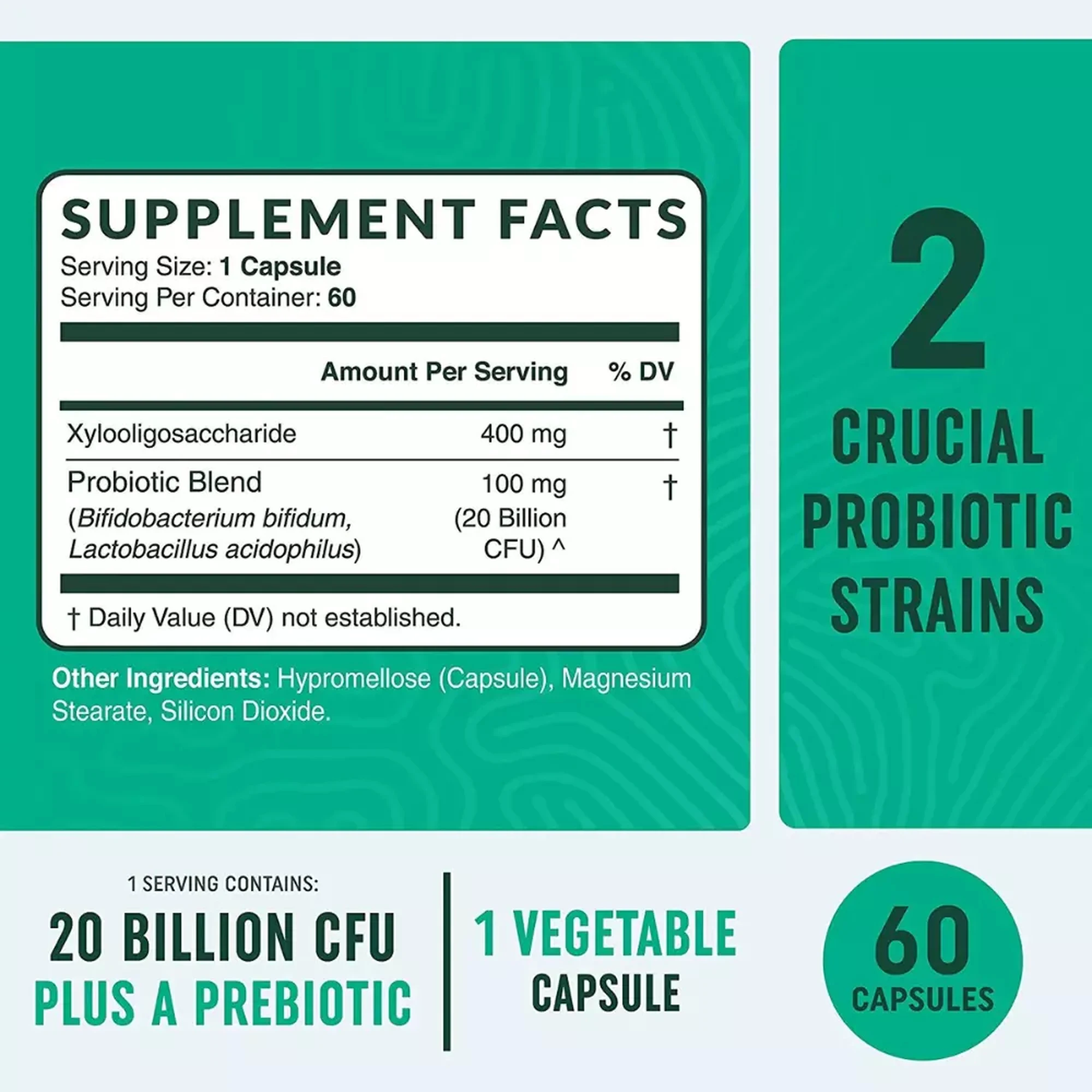 Probiotic & Prebiotic Synbiotic - Promote Bowel Regularity, Supports Gut and Digestive Health, Enhances Vitality and Immunity