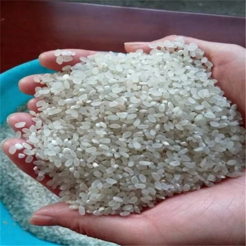 【الأكثر مبيعًا】متوفر في صندوق الأرز الصغير لتلميع أرز الذرة ومطحنة الذرة وطحن الحبوب آلة طحن مطحنة الدقيق Jap