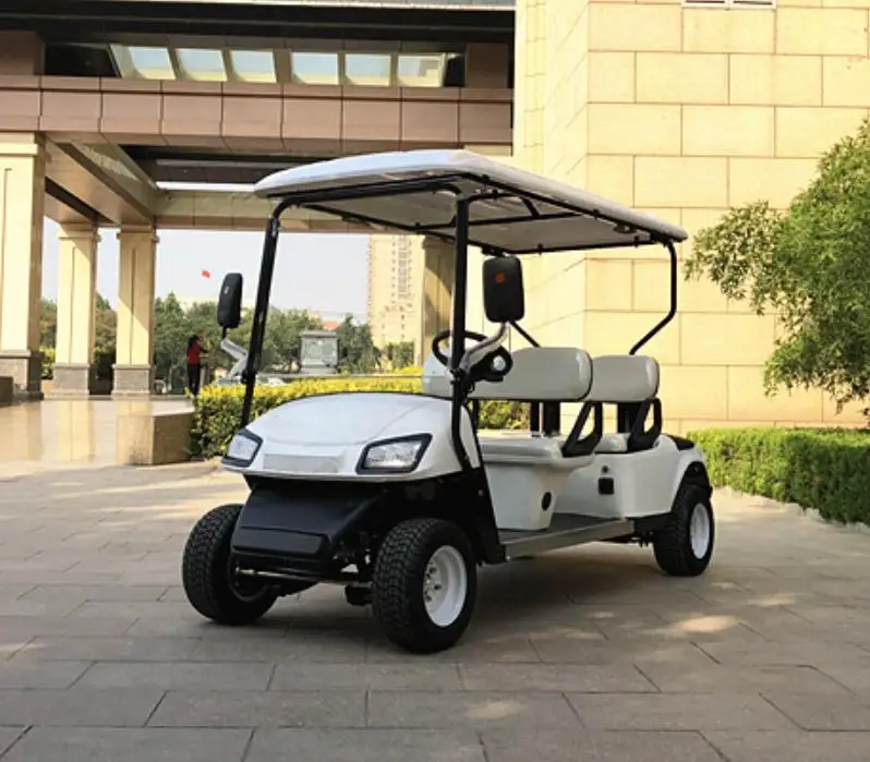 Raysince neues Modell elektrischer Golf wagen batterie betriebener elektrischer Golf roller mit PU-Sitz