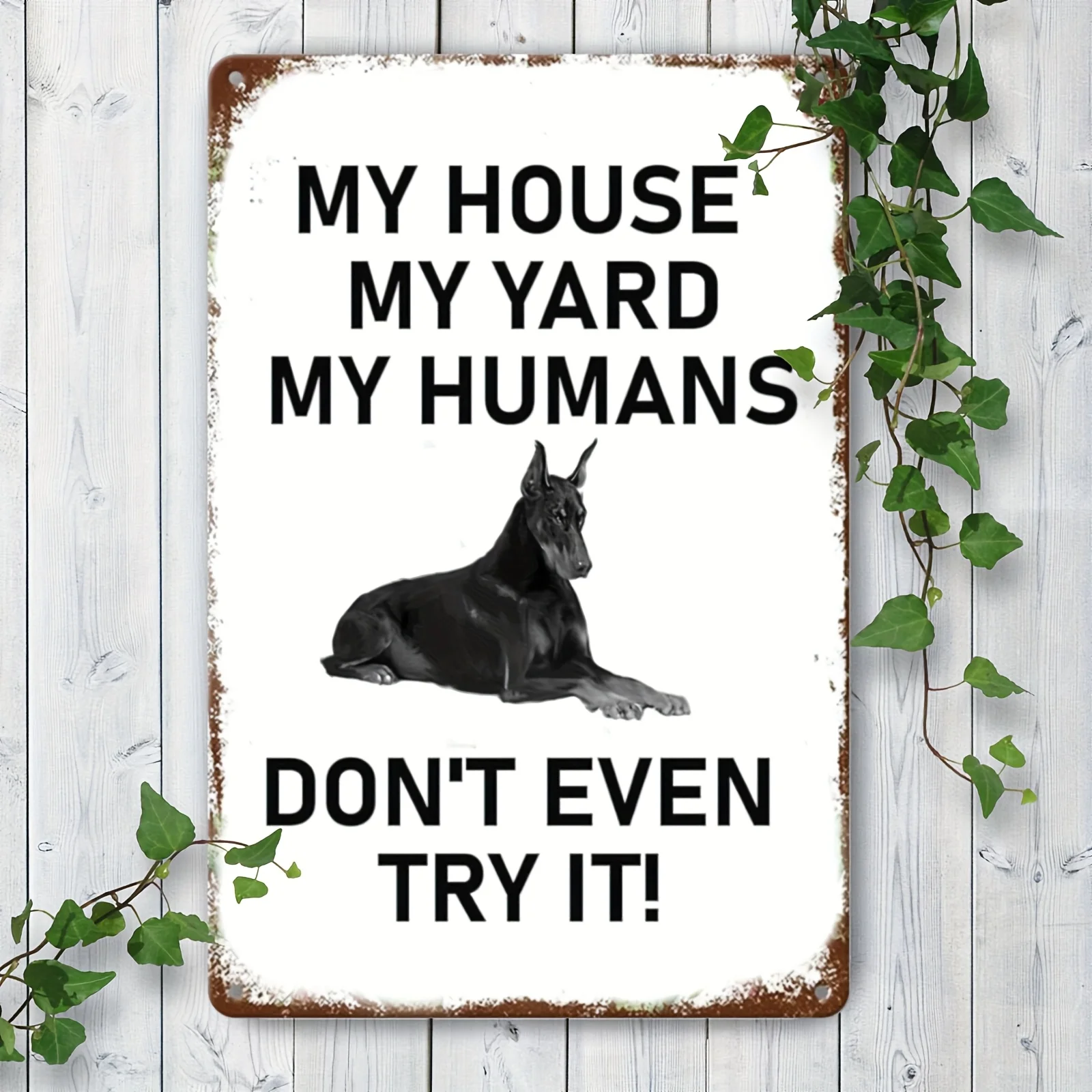 Home Security In My Area - Vintage Doberman My House My Humans