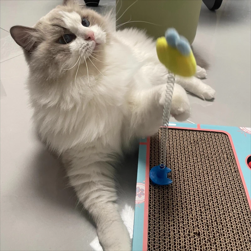 

Cat Scratching Board & Whack-a-Mole Toy - Interactive Multifunctional, Ideal for Grinding Claw & Play Rest