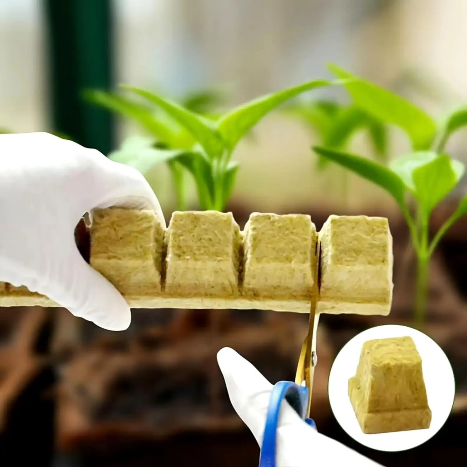 50/300pcs Hydroponic Growth Cubes Sponge Block Starter Plugs Rock Wool Seed Starters Planting Cubes Cuttings Plant Propagation