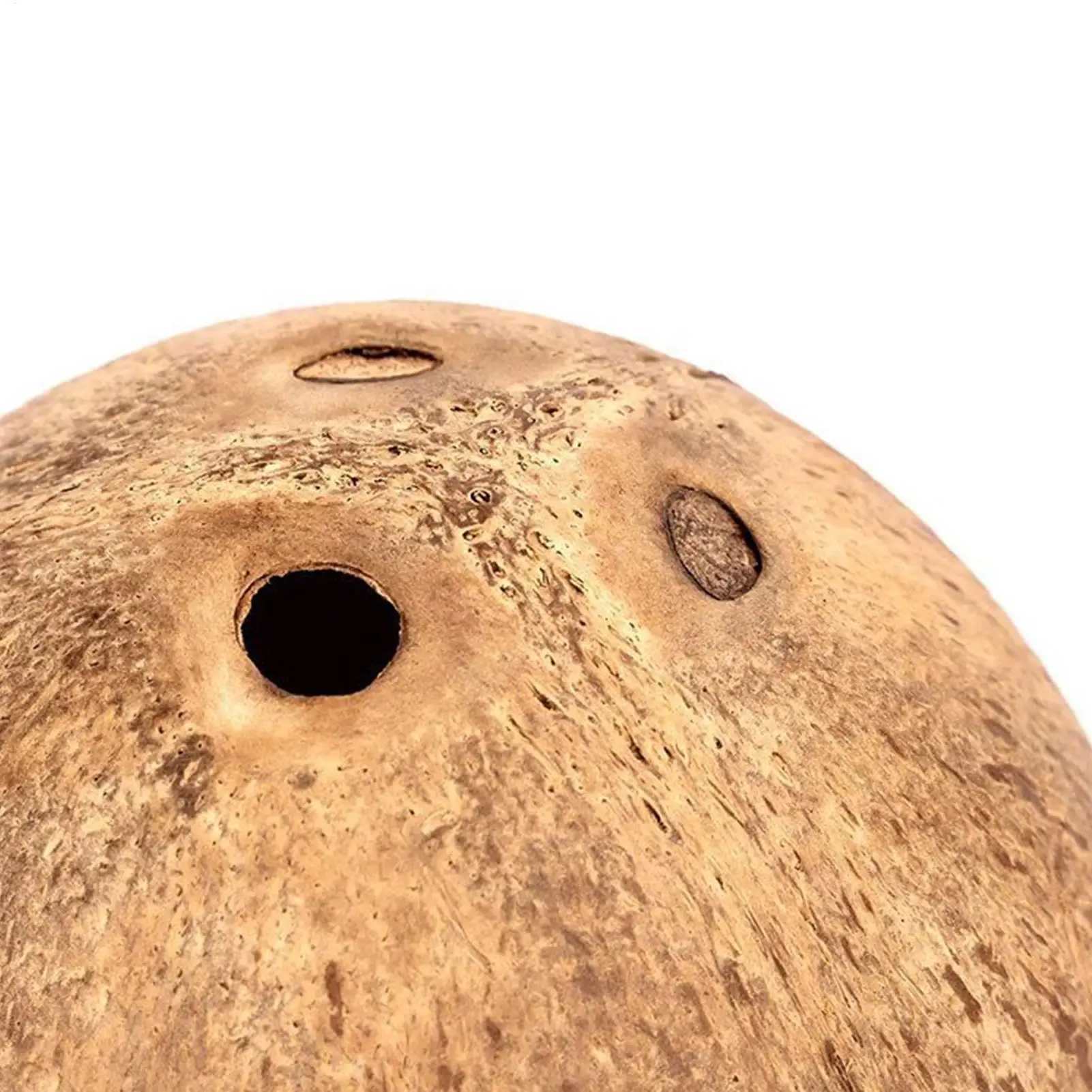 جربيل هاوس 5.3 × 4.7 بوصة ملحقات الهامستر حاوية مقاومة للمضغ مع قاعدة مضادة للطرف موئل الكهف لأرنب القنفذ جربيل #5