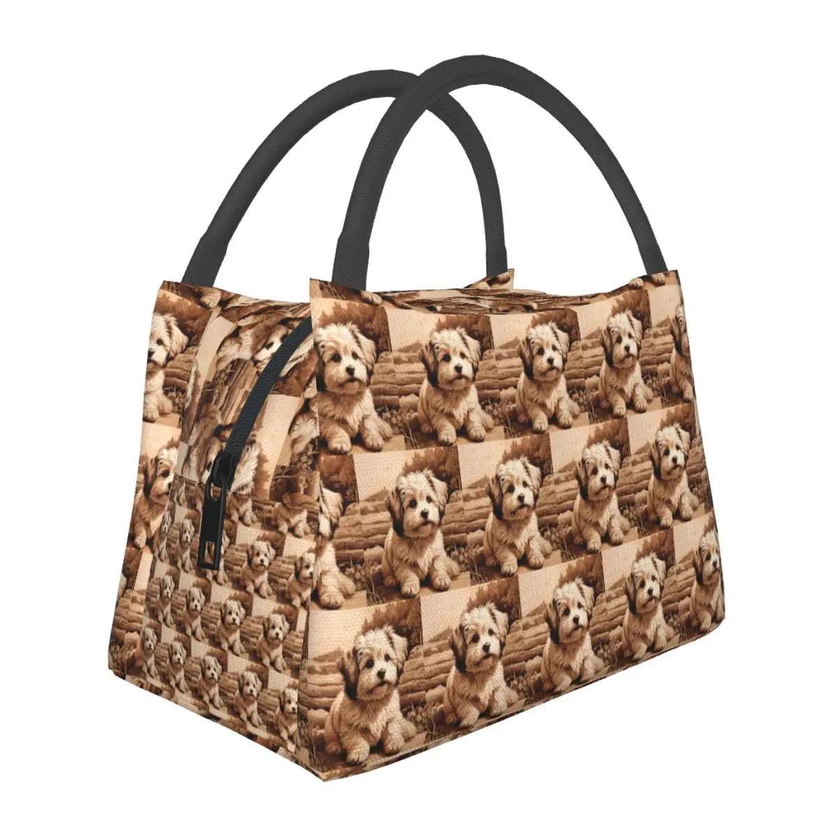 Havanese The Joyful Spirit Of Wood Lightweight Handheld Insulated Lunch Bag Aluminum Foil Liner for Adults Students Travel