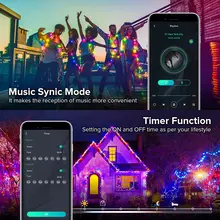 Dreamcolor RGB Christmas Lights #3