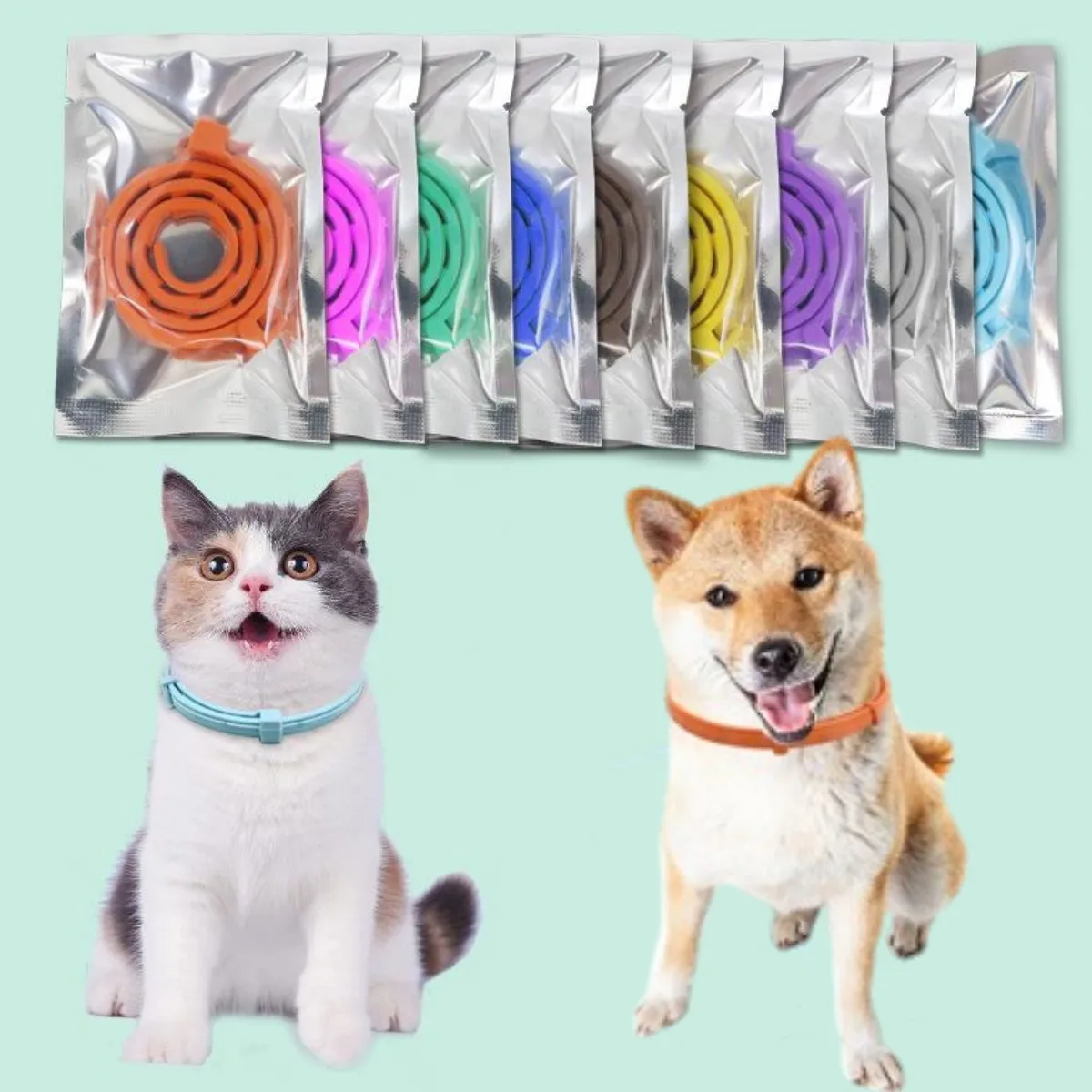 VIP Dog Collar Puppy Cat  Collars For Small Dogs Cats Collar Pet  Dropshipping Suppliers