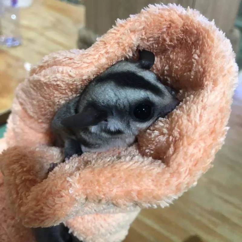 Small Pets Calming Sleeping Fleece Fabric Gloves Anti Bite Anti Scratch Handling Gloves for Sugar Gliders Hamsters Guinea Pigs